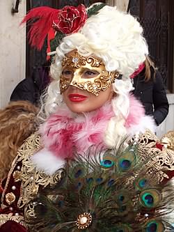 venice carnival costumes