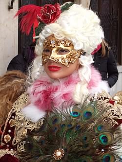 Pretty Mask in the Venice carnival
