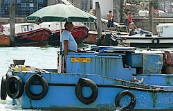 Boat Umbrella Venice Italy